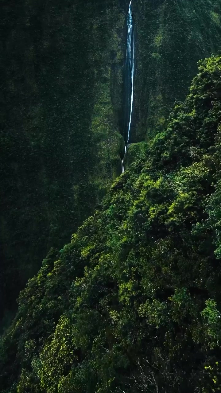 Reunion Island Waterfalls: Voile de la Mariée and Cascade Blanche