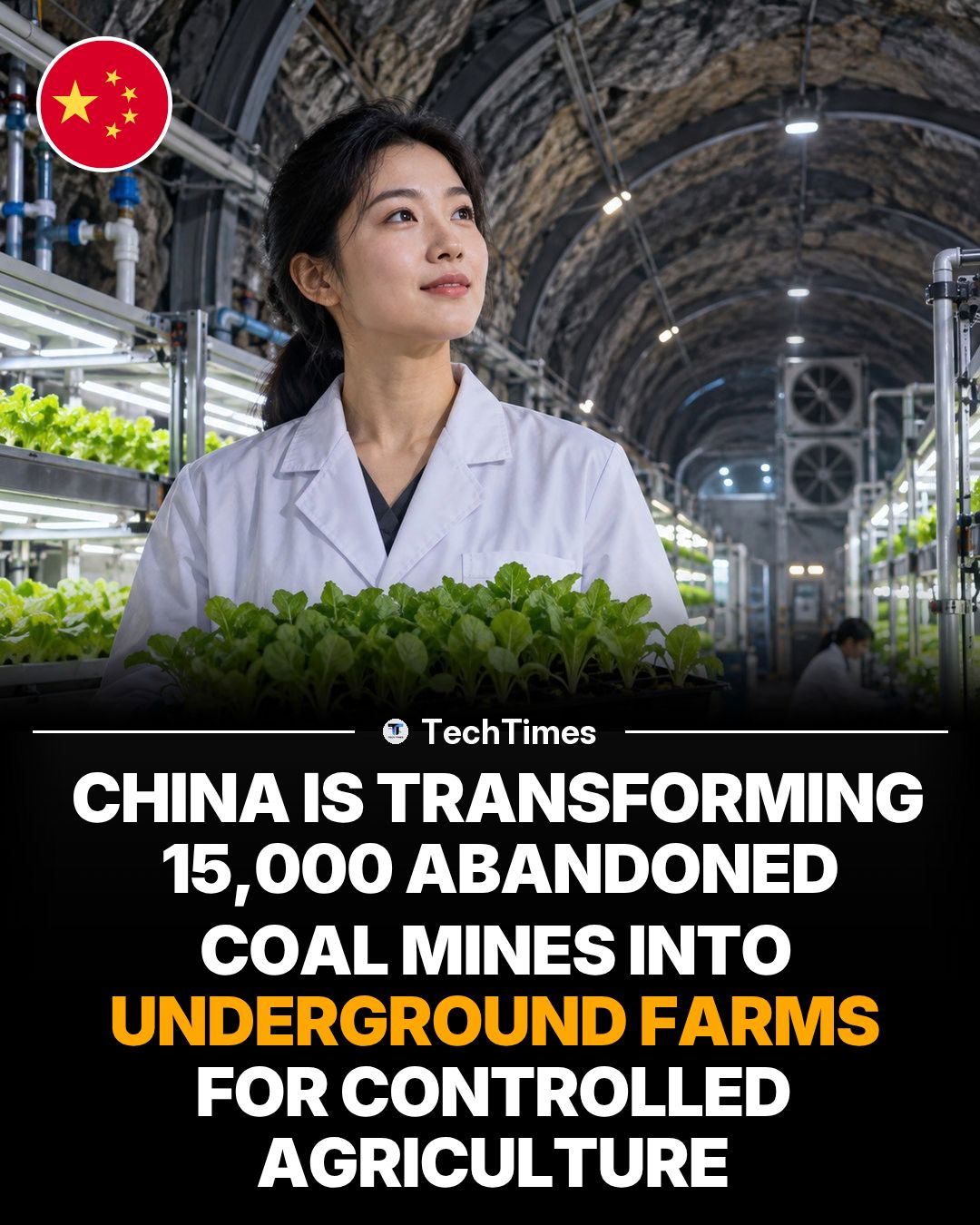 China's Underground Farming Revolution in Coal Mines