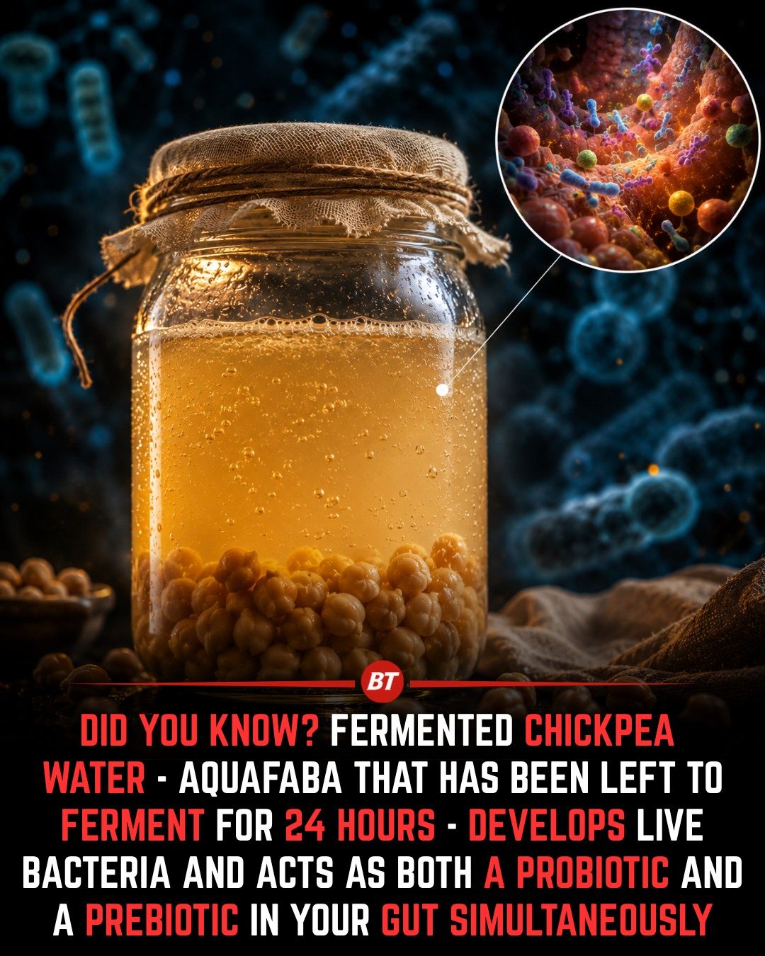 Fermented aquafaba: A Probiotic and Prebiotic for Gut Health