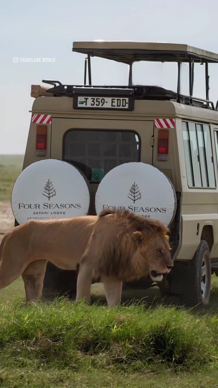 Unveiling Luxury in the Serengeti: Four Seasons Safari Lodge