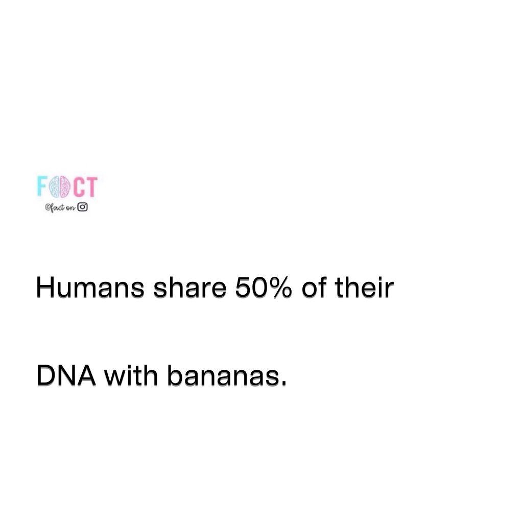 Surprising Genetic Link: Humans and Bananas Share 50% DNA