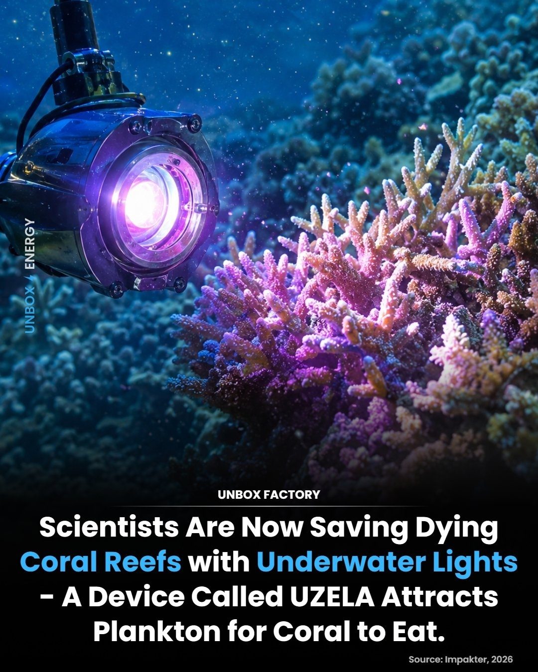 UZELA Lights: Saving Coral Reefs with Underwater Illumination