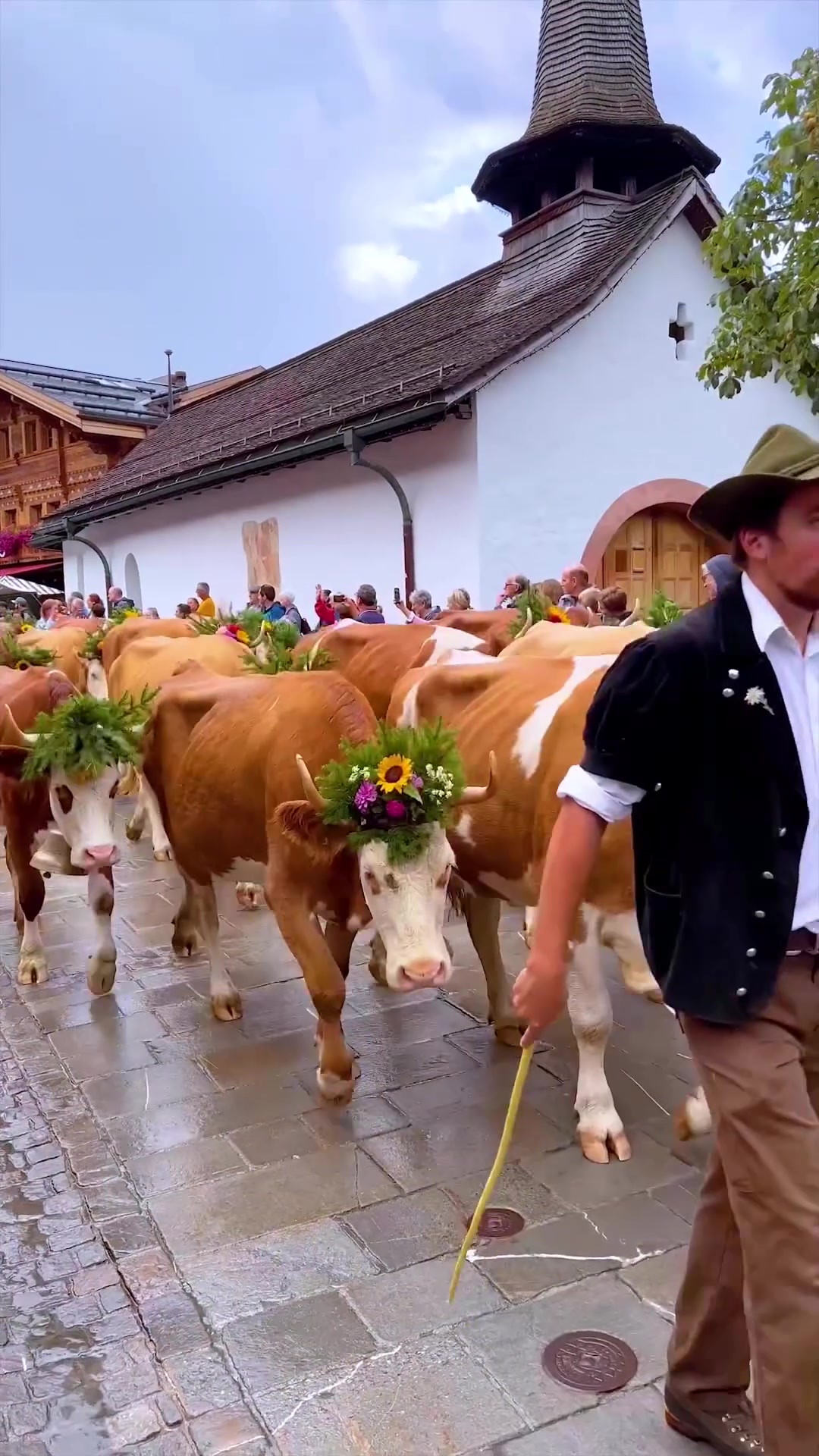 Gstaad Züglete: Alpine Cow Parade Tradition