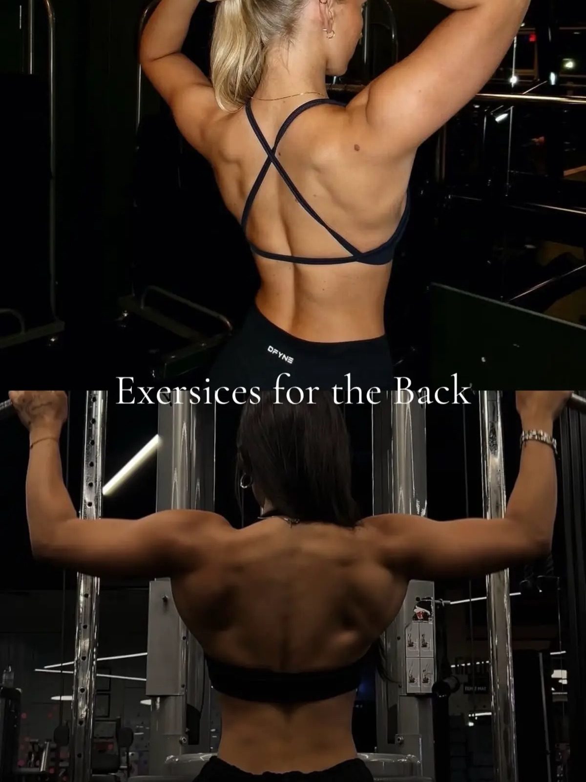 Master Back Exercises for Strength and Posture with Workit