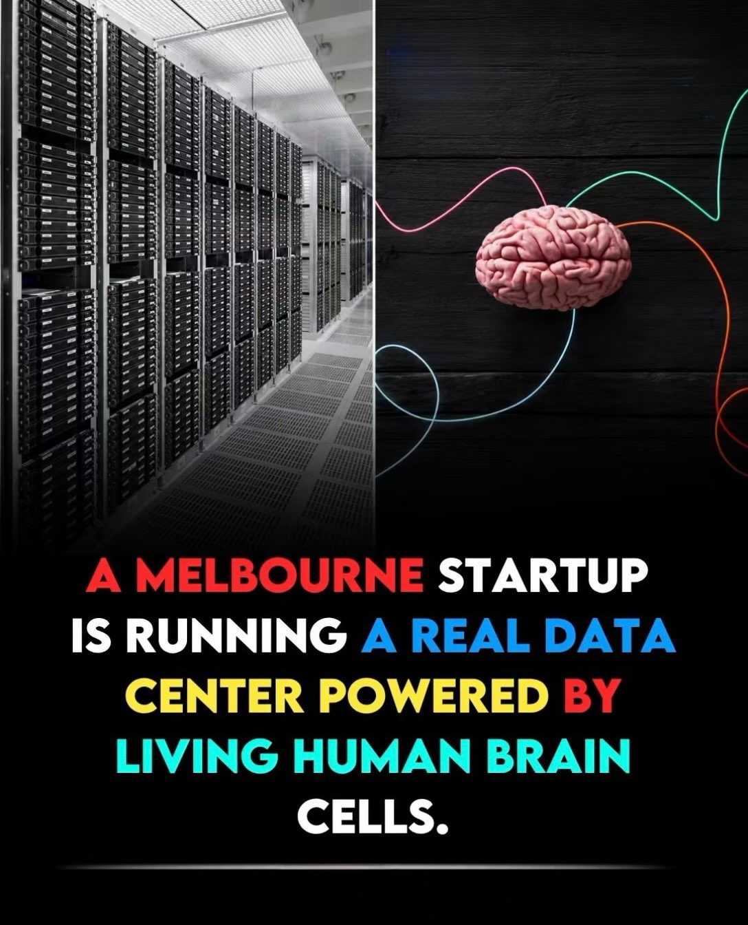 Melbourne Startup Uses Living Brain Cells for Data Center