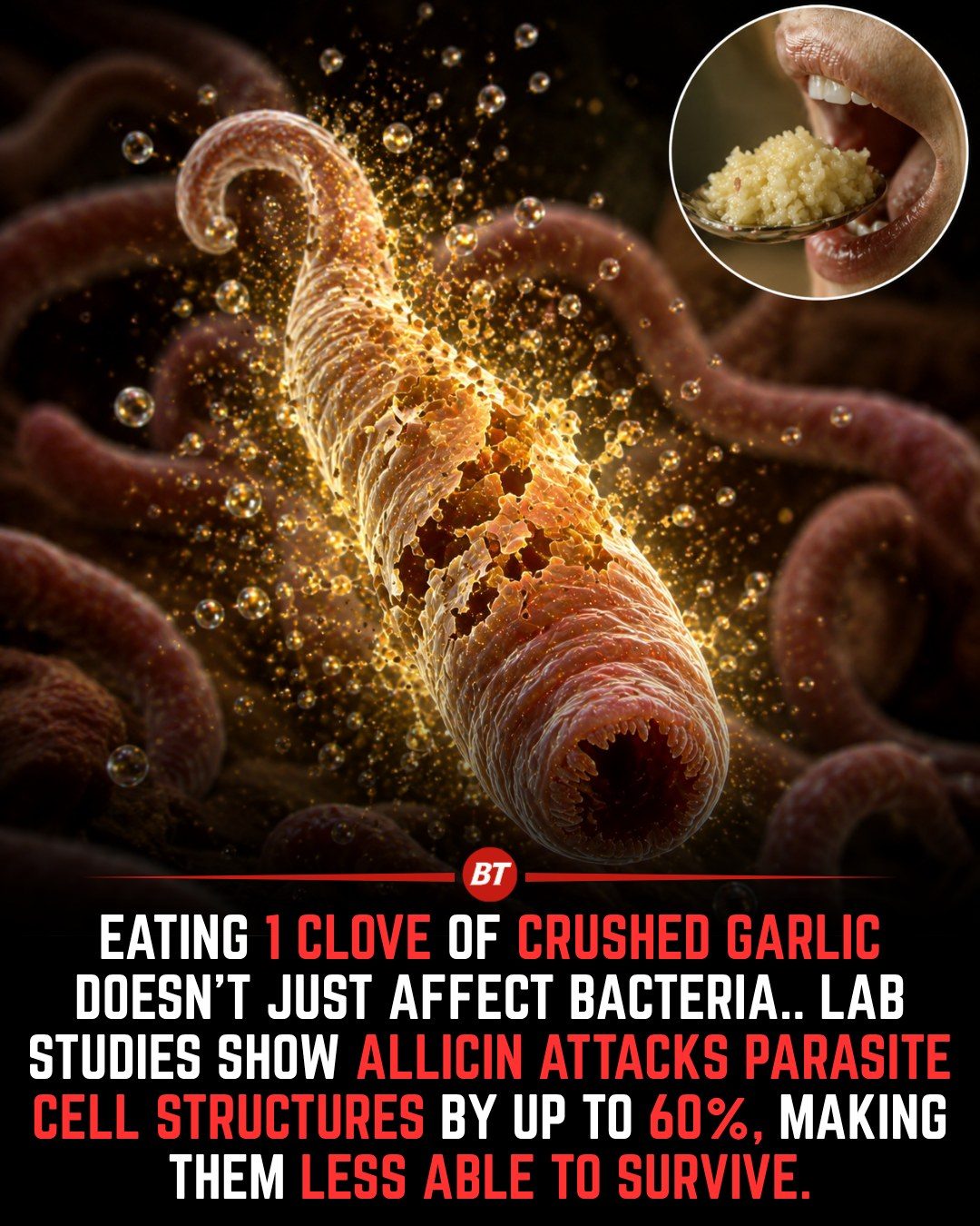Garlic's Allicin: Antiparasitic Wonders Revealed
