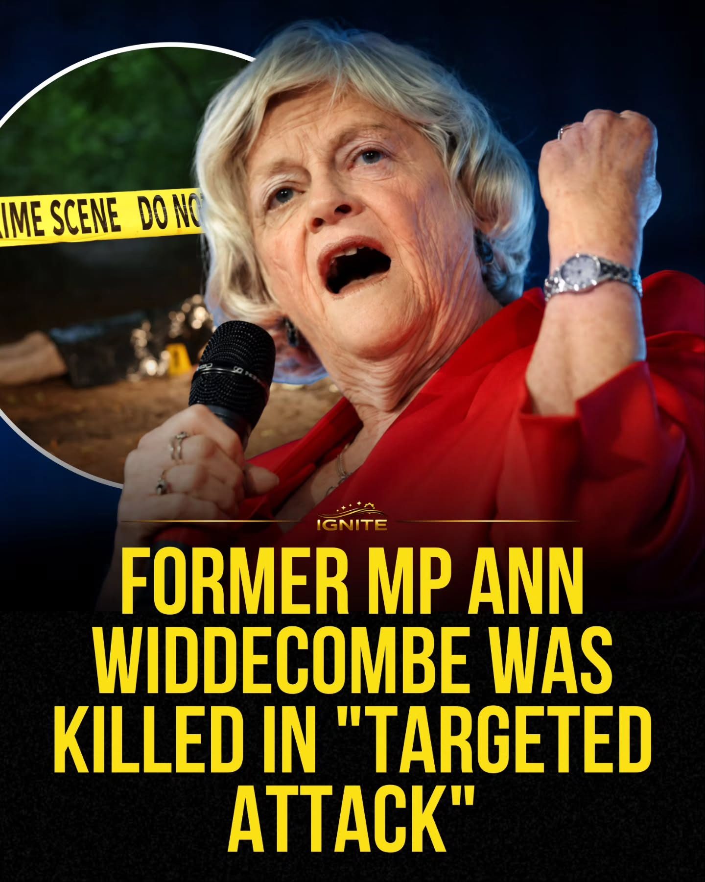 Ann Widdecombe's Death: A Targeted Attack on a Political Icon
