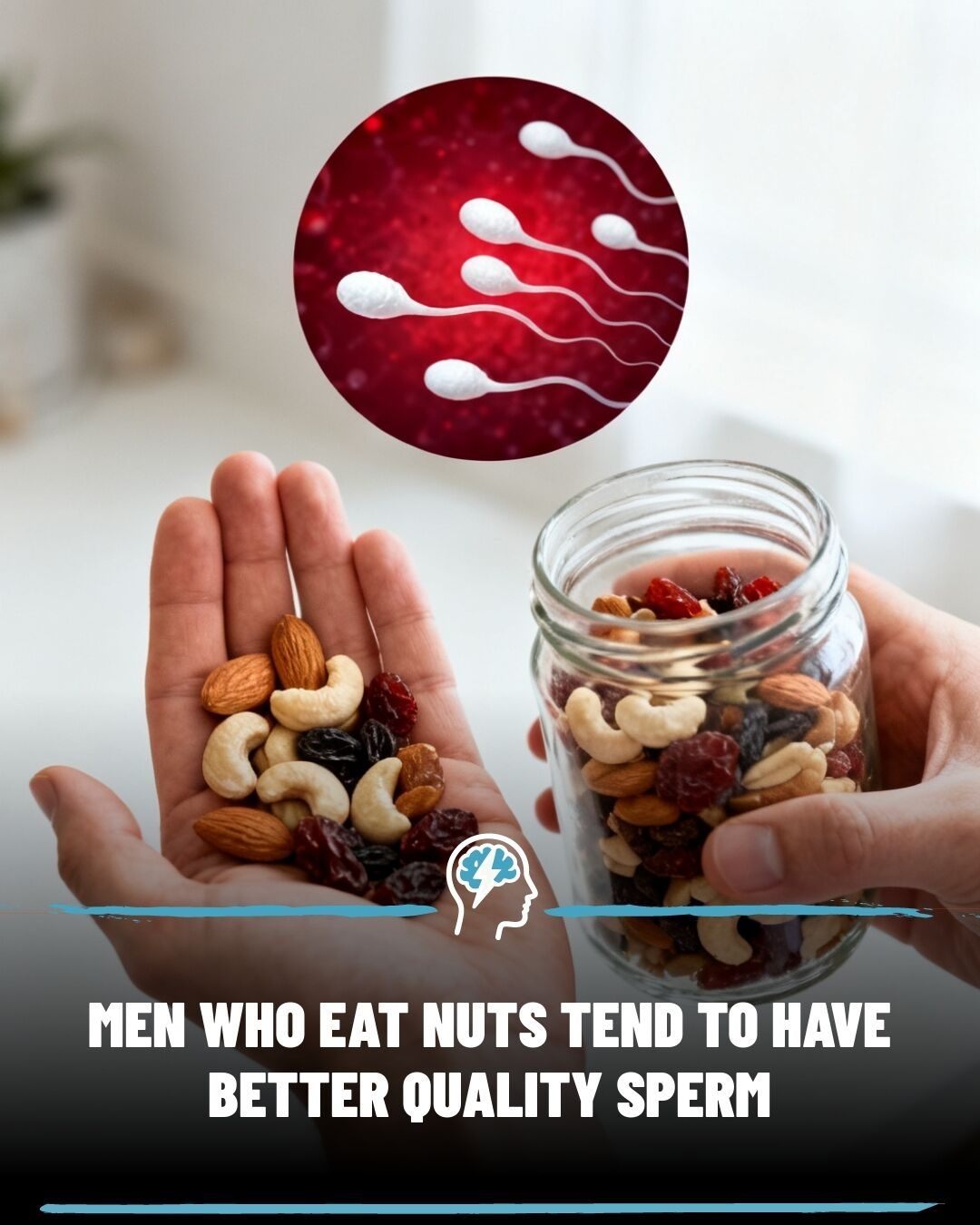 Nuts May Boost Male Fertility: What Science Says