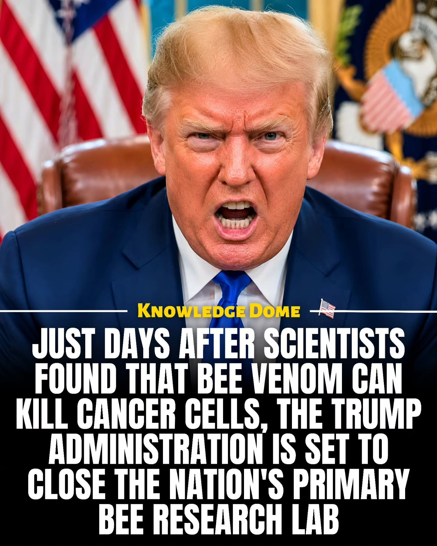 Bee Venom Cancer Research vs. Trump Admin Lab Closure