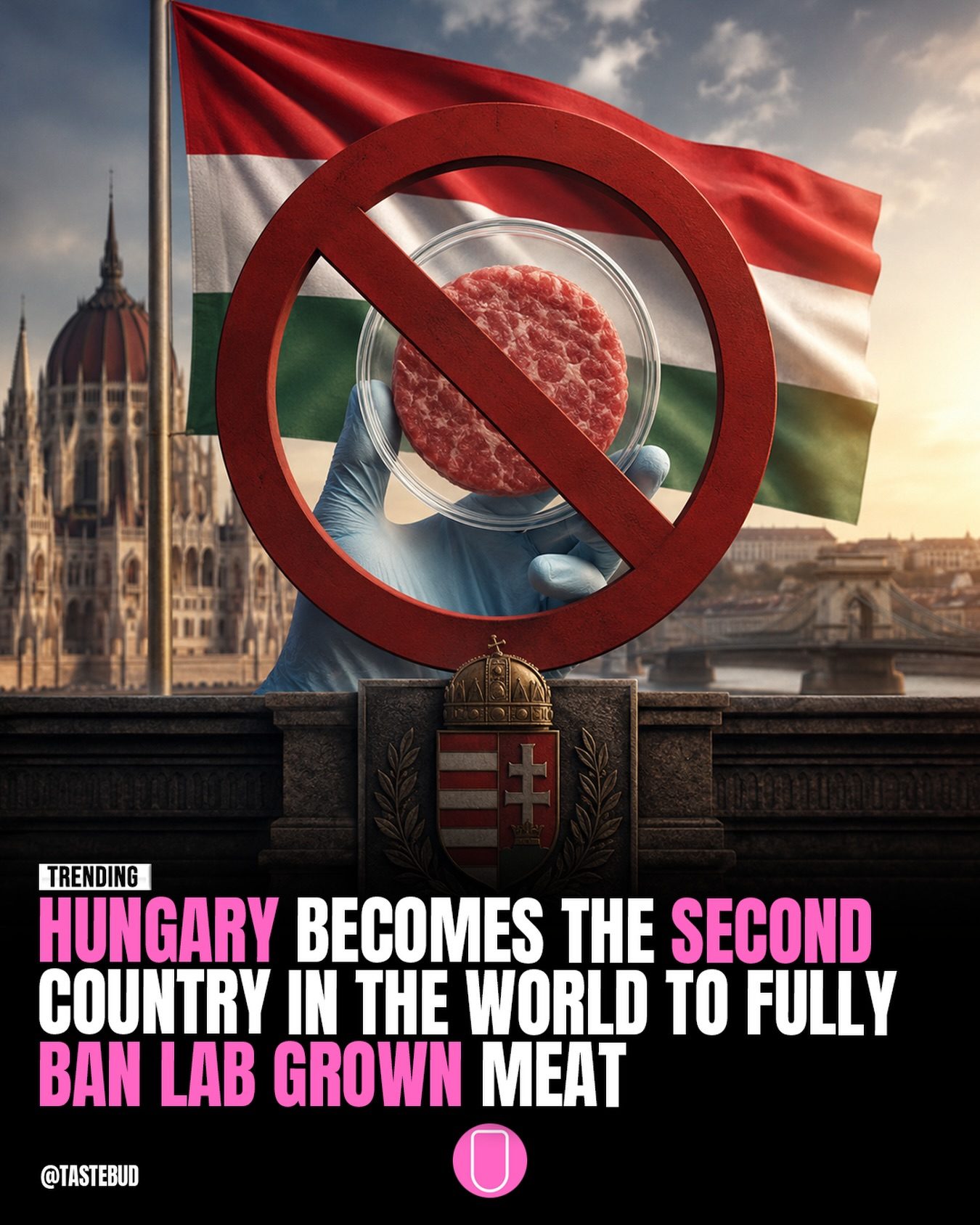 Hungary's Ban on Lab-Grown Meat: Tradition vs. Innovation