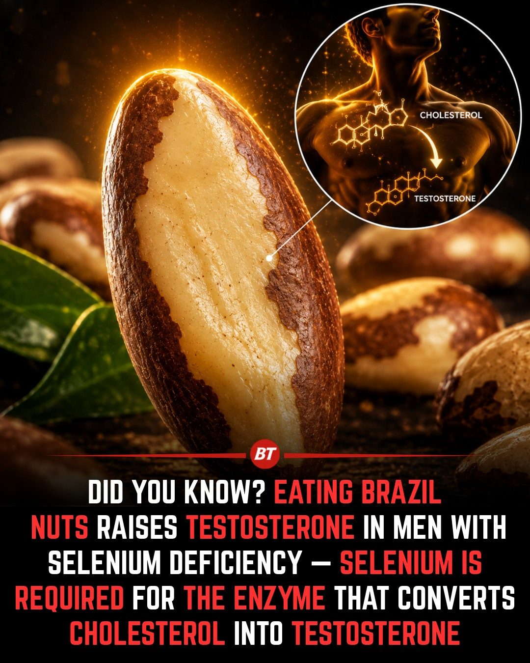 Brazil Nuts: Boosting Testosterone Naturally with Selenium
