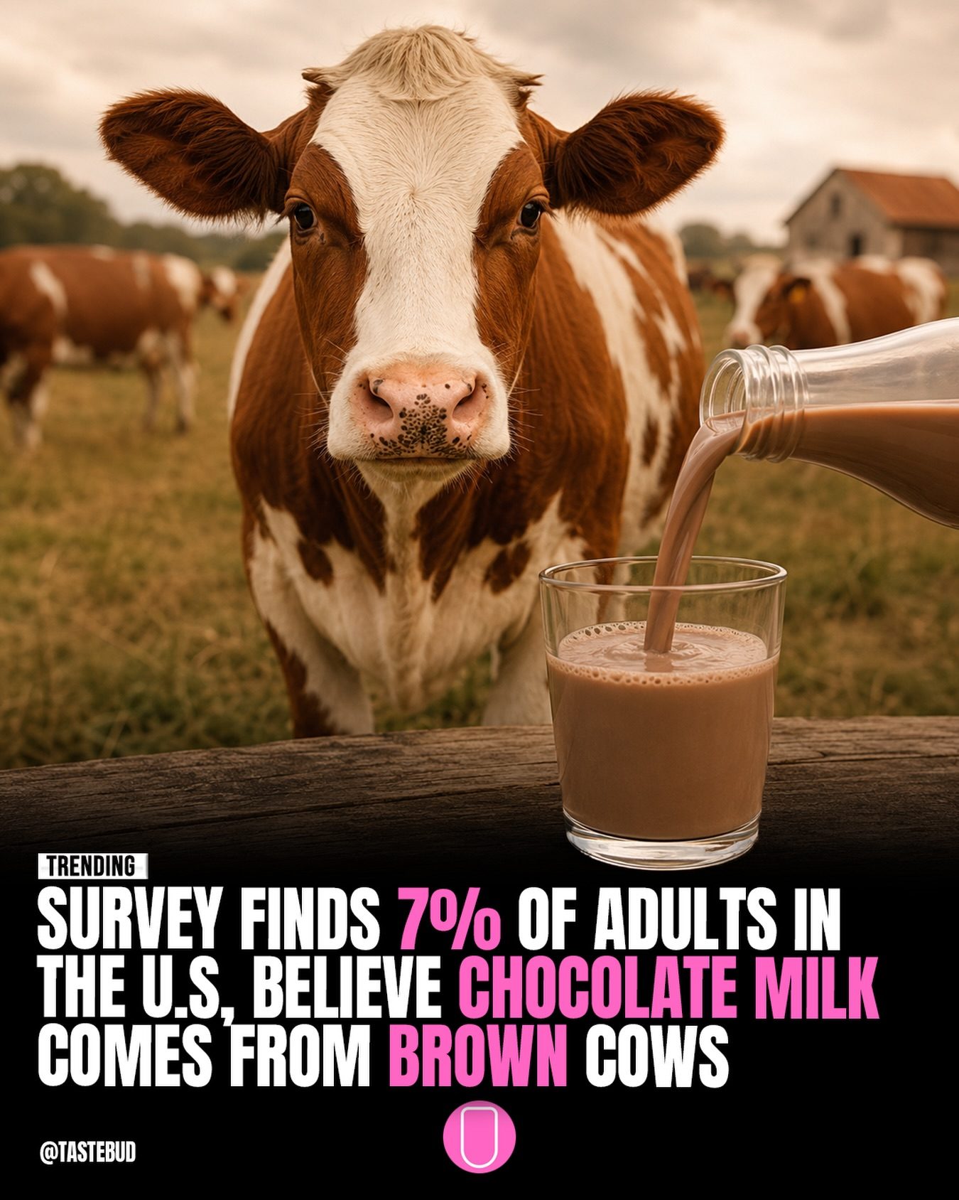Chocolate Milk: 7% of Americans Believe It Comes from Brown Cows
