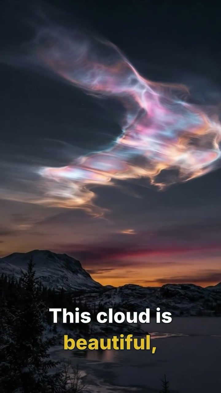 Nacreous Clouds: Beauty and Ozone Impact