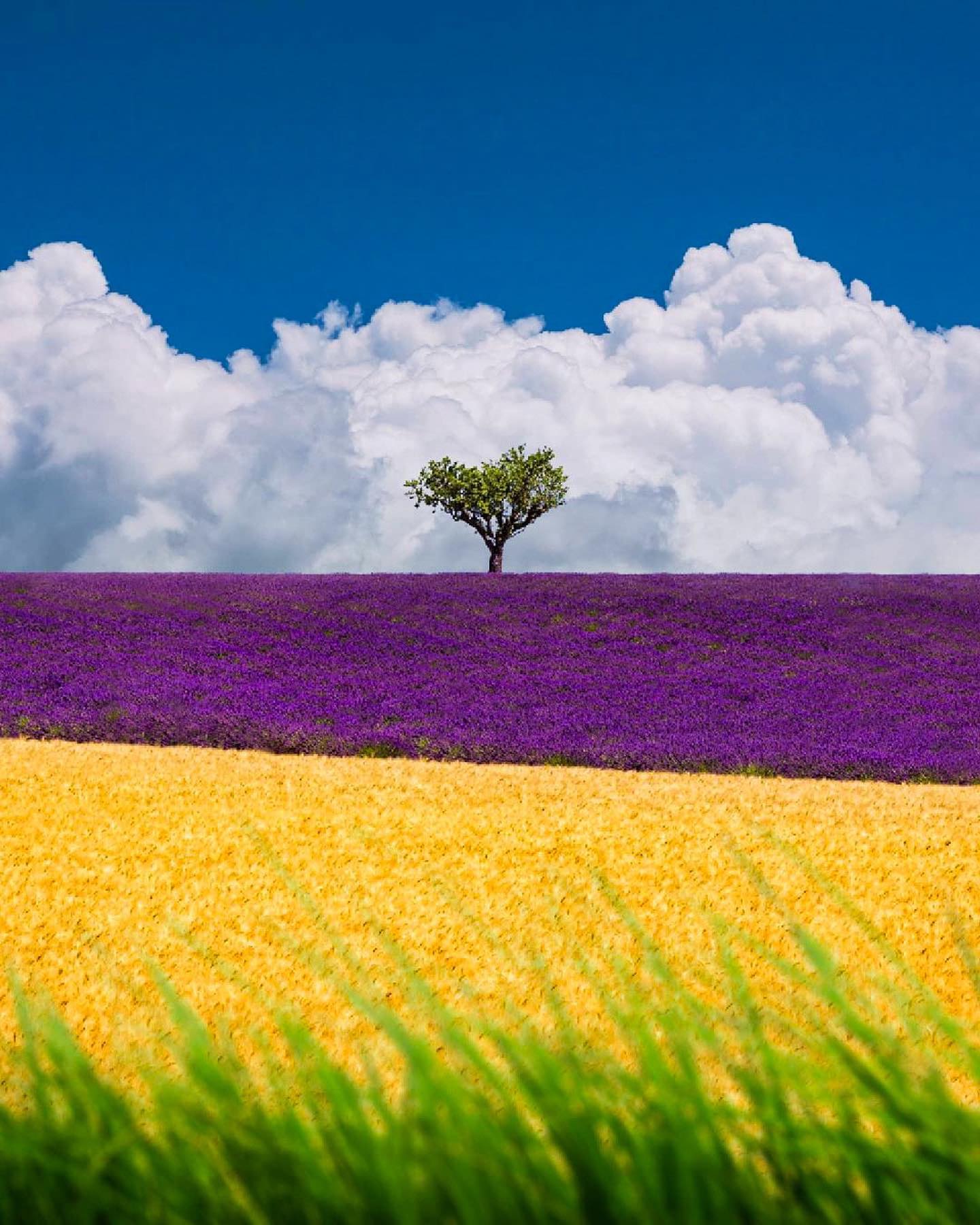 Stunning Landscape Reel: Nature's Beauty in Vibrant Shots