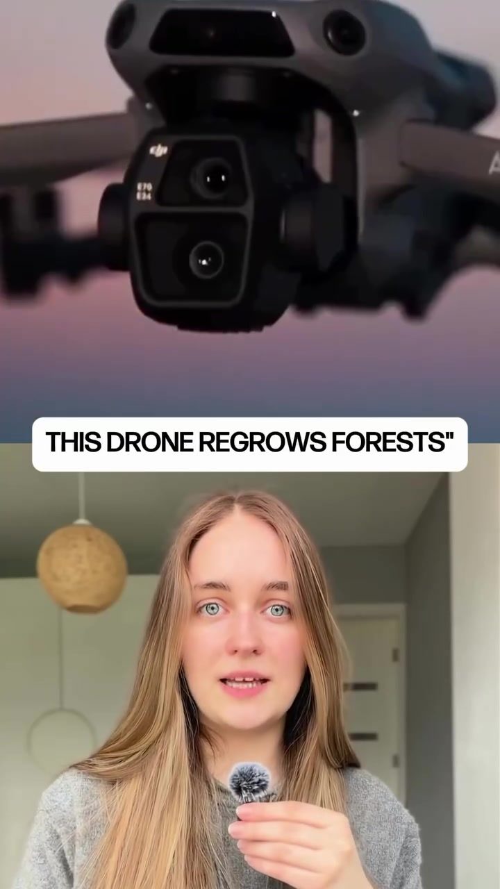 Morpho's AI-Driven Drone Reforestation Efforts in Brazil