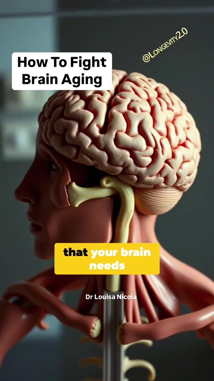 Aerobic Exercise: Boost Your Brain Health with Movement