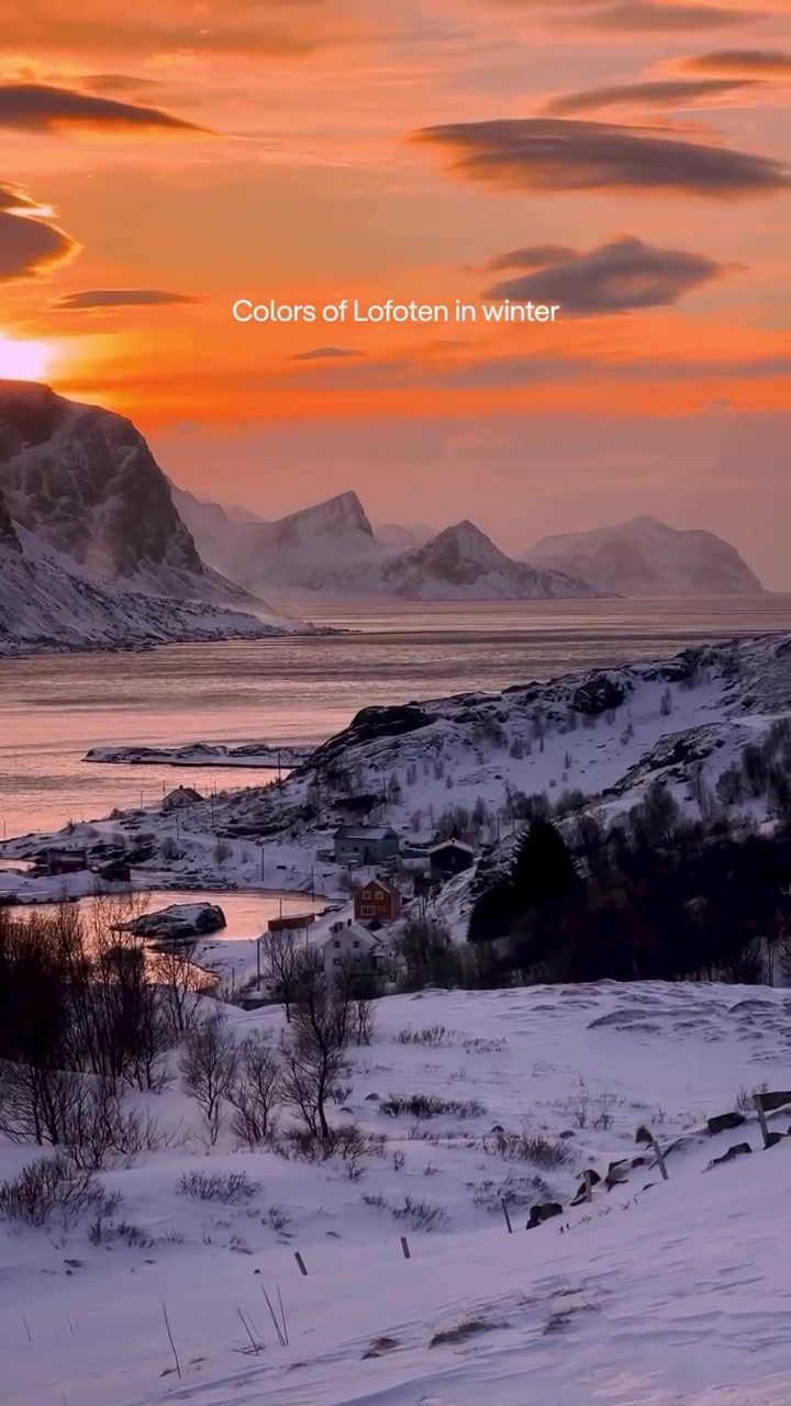 Experience the Magic: Lofoten's Winter Scenery and Northern Lights.
