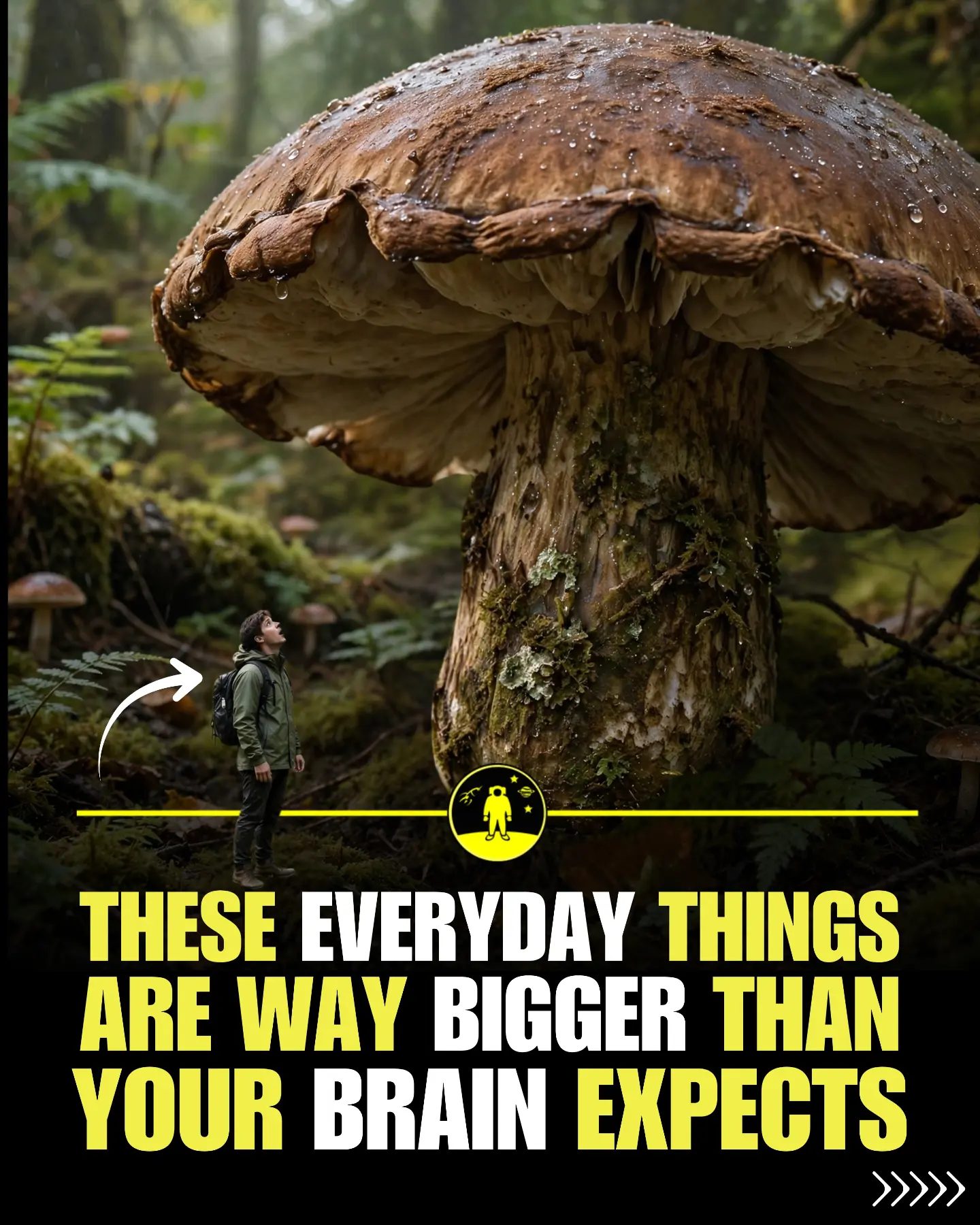 Mind-Blowing Size Comparisons: Biggest Things on Earth