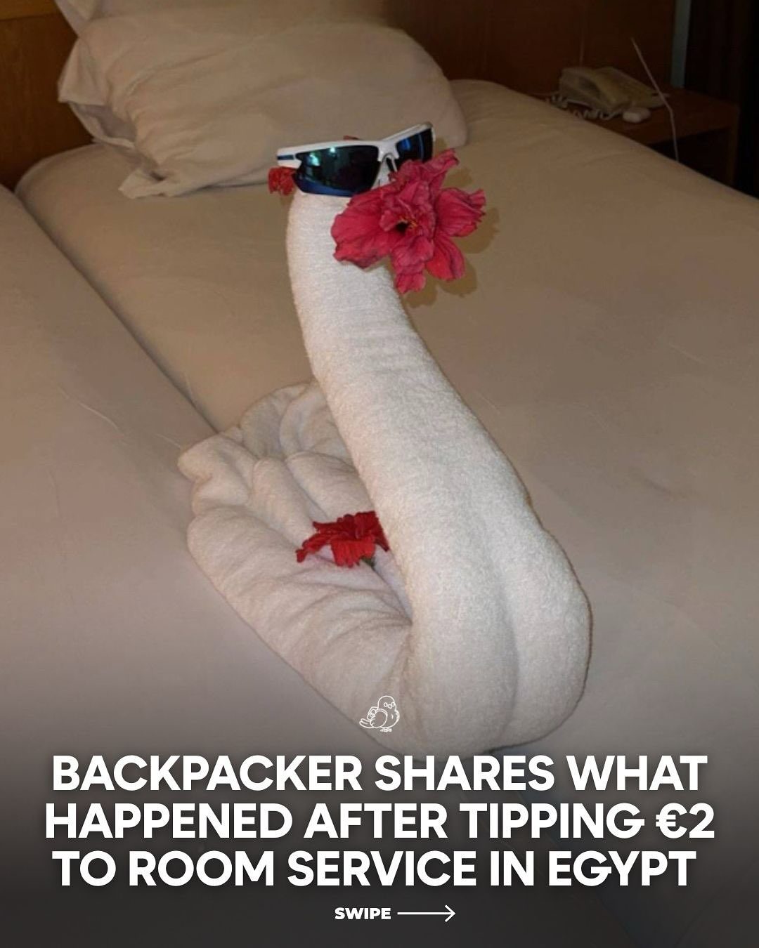 Backpacker's €2 Tip Leads to Elephant Towel Art