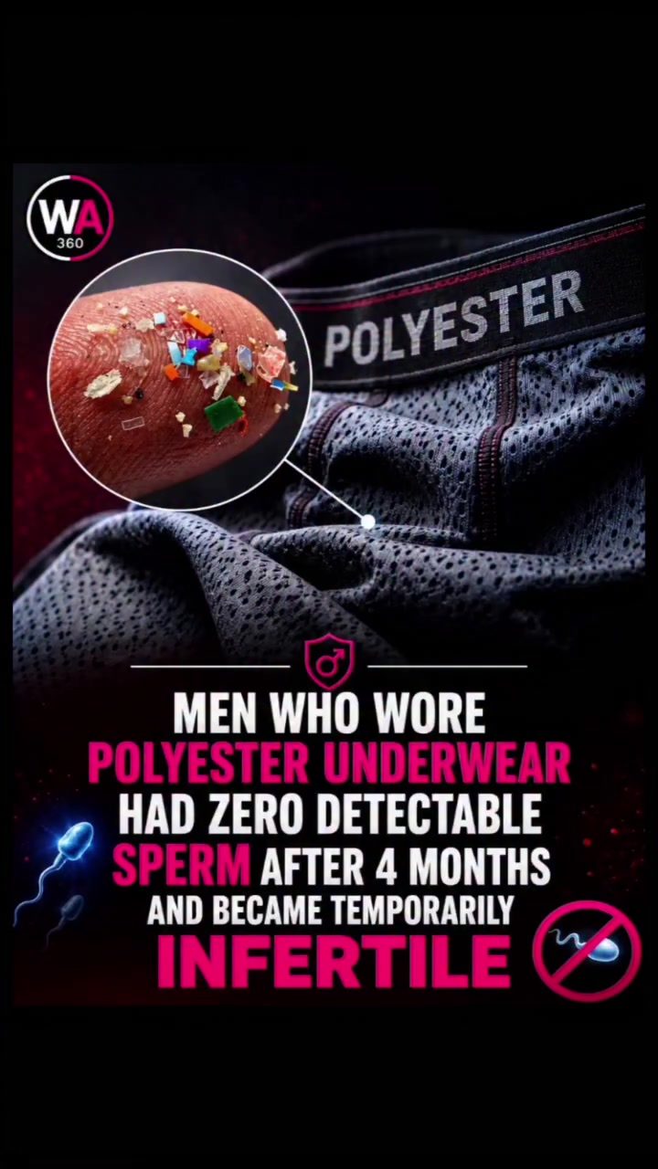 Polyester Underwear: Debunking Male Fertility Myths