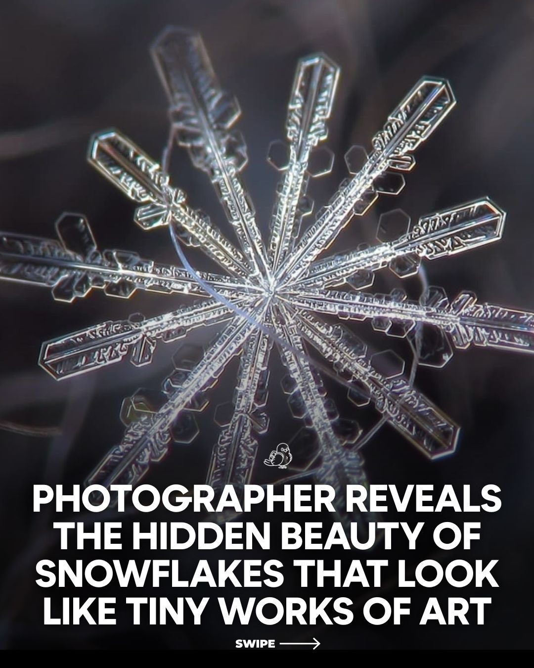 Masterpieces in Miniature: The Intricate Beauty of Snowflake Photography
