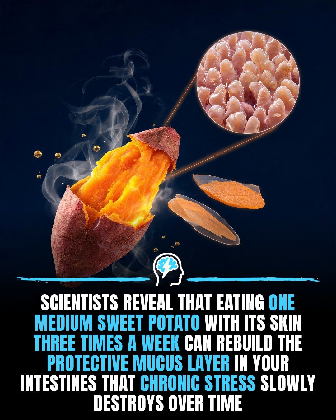 Sweet Potatoes: Rebuild Gut Health with Science-Backed Benefits