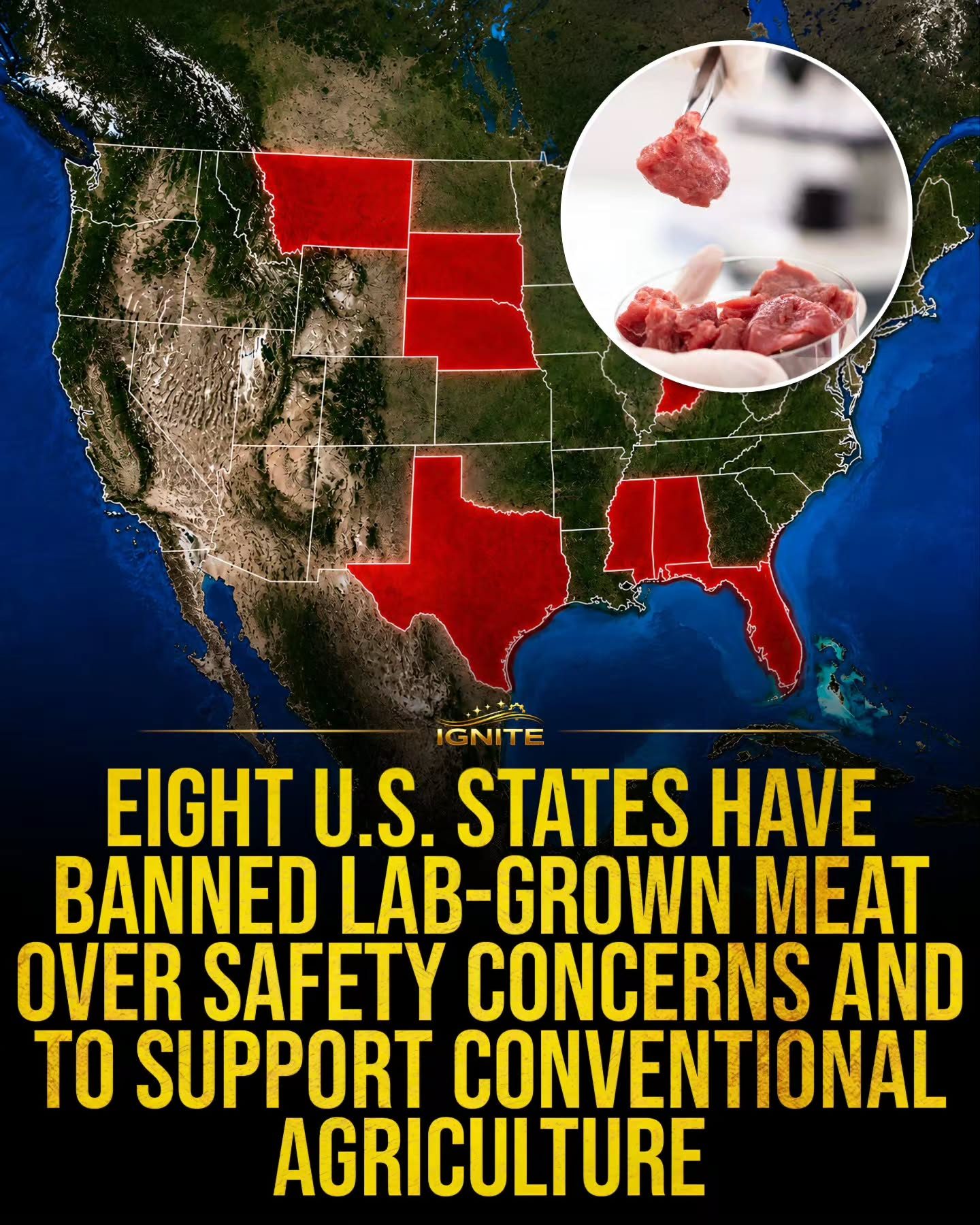 Lab-Grown Meat Banned in U.S. States Due to Safety Concerns