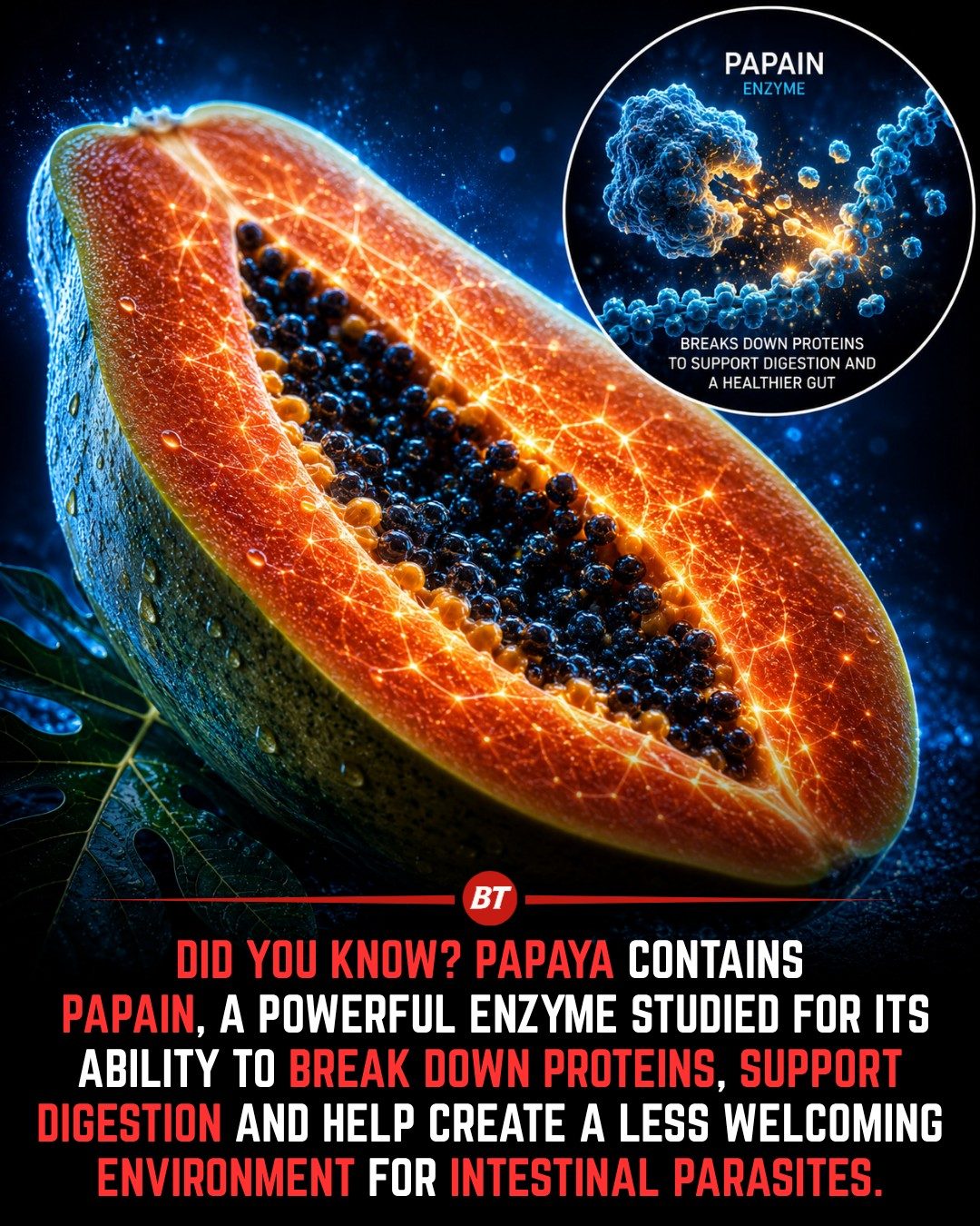Papaya Benefits for Digestive Health