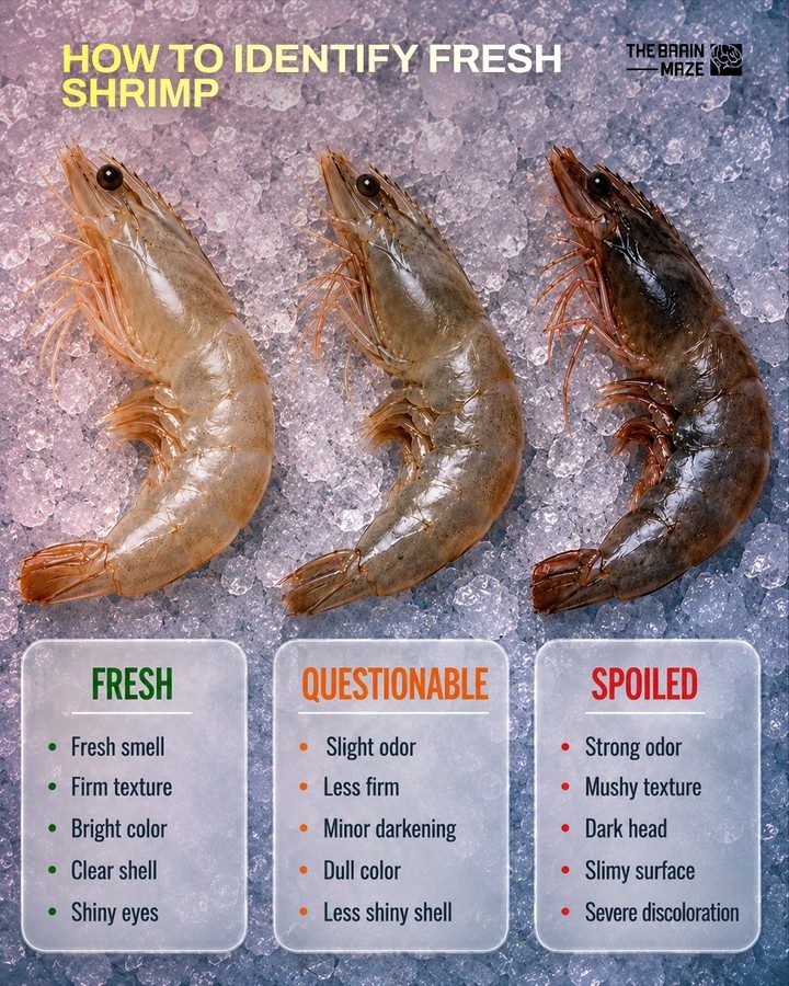 How to Tell if Shrimp is Fresh: Tips from THE BRAIN MAZE