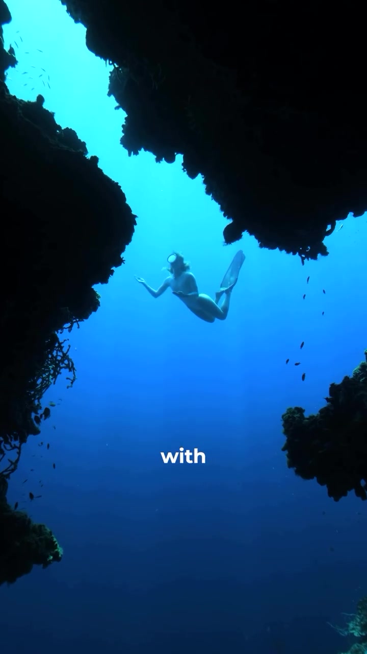 Underwater Adventure: Diving Coral Reefs