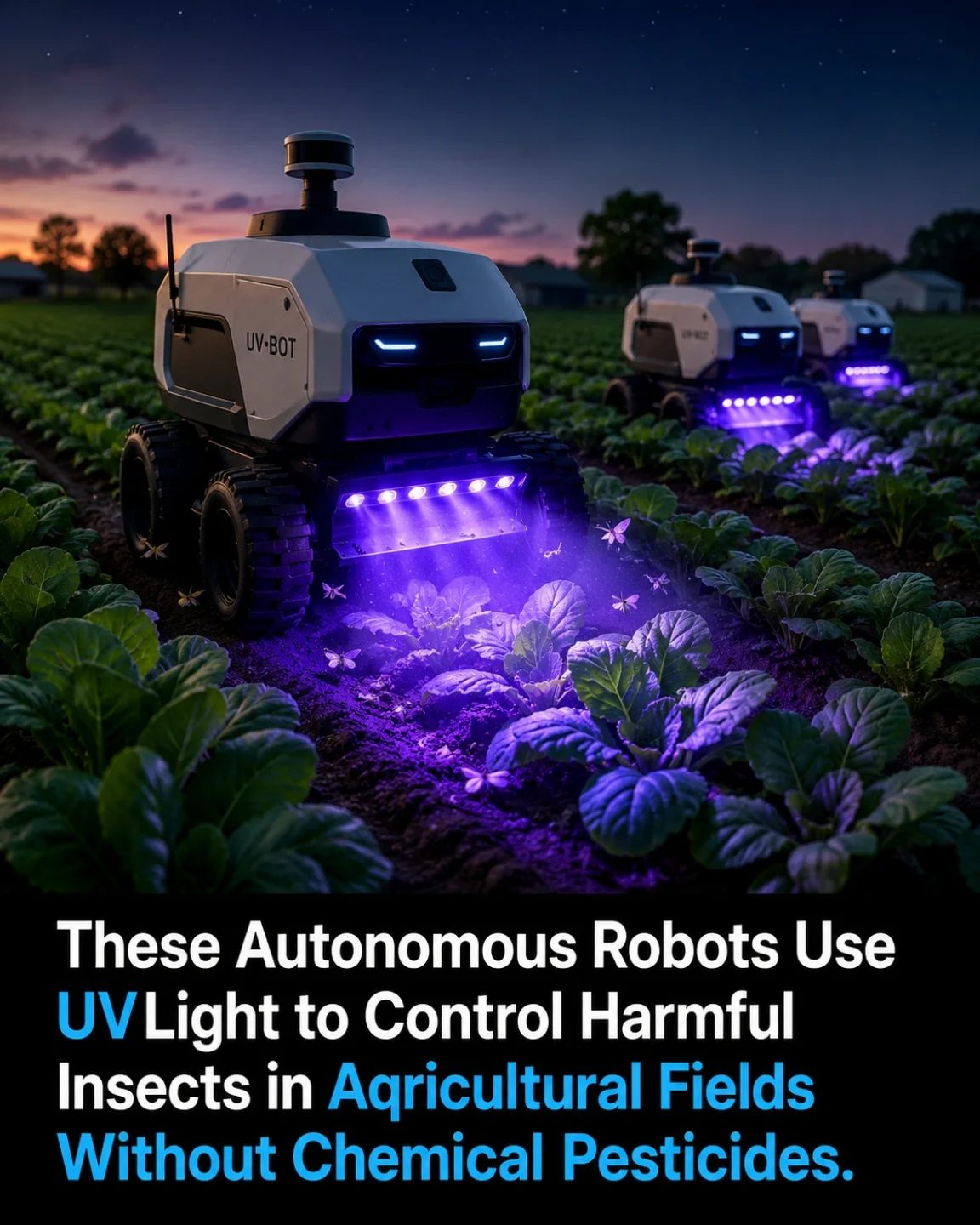 UV-BOT Robots: Pioneering Pesticide-Free Pest Control