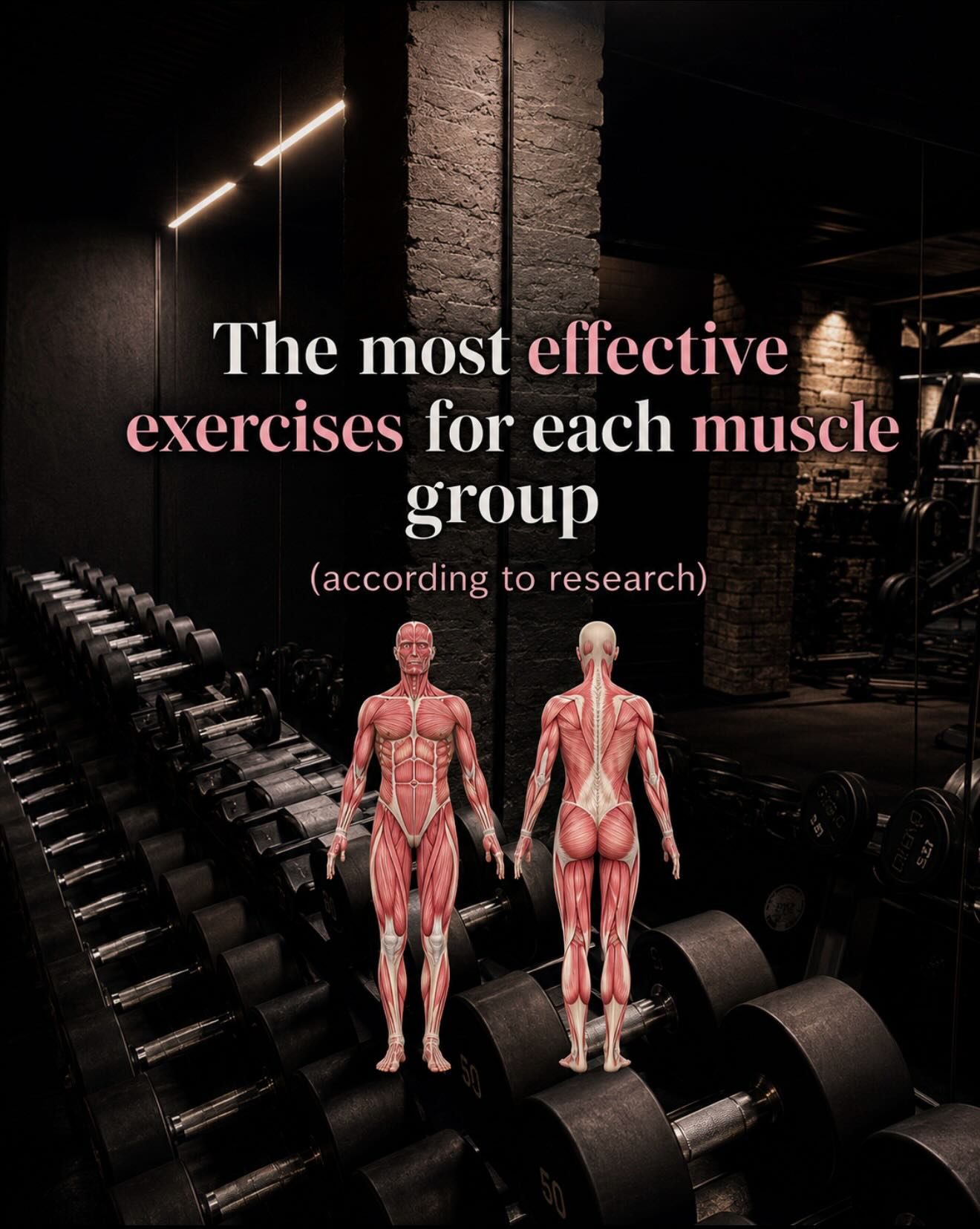 Top Research-Backed Exercises for Effective Muscle Growth