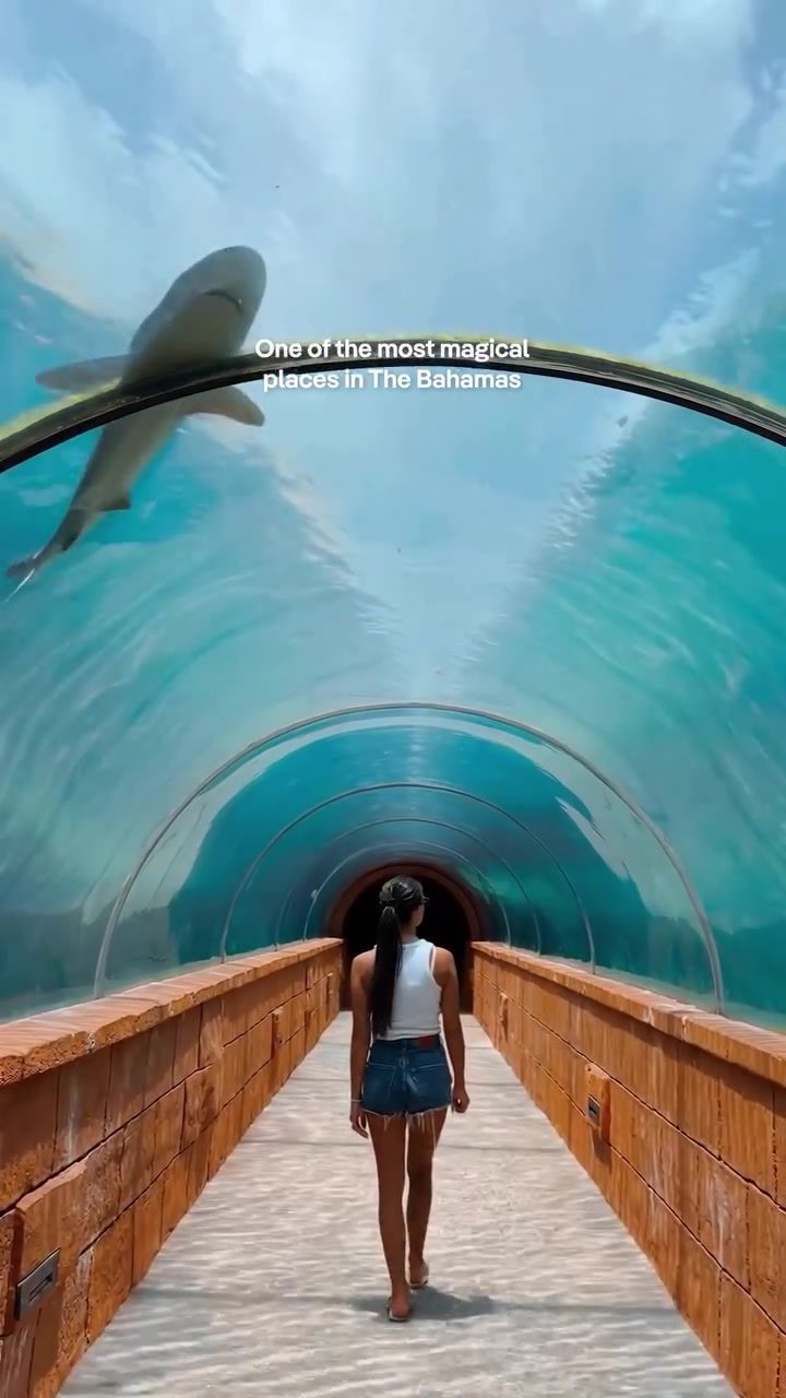 Exploring Atlantis Aquarium: The Bahamas' Underwater Wonder