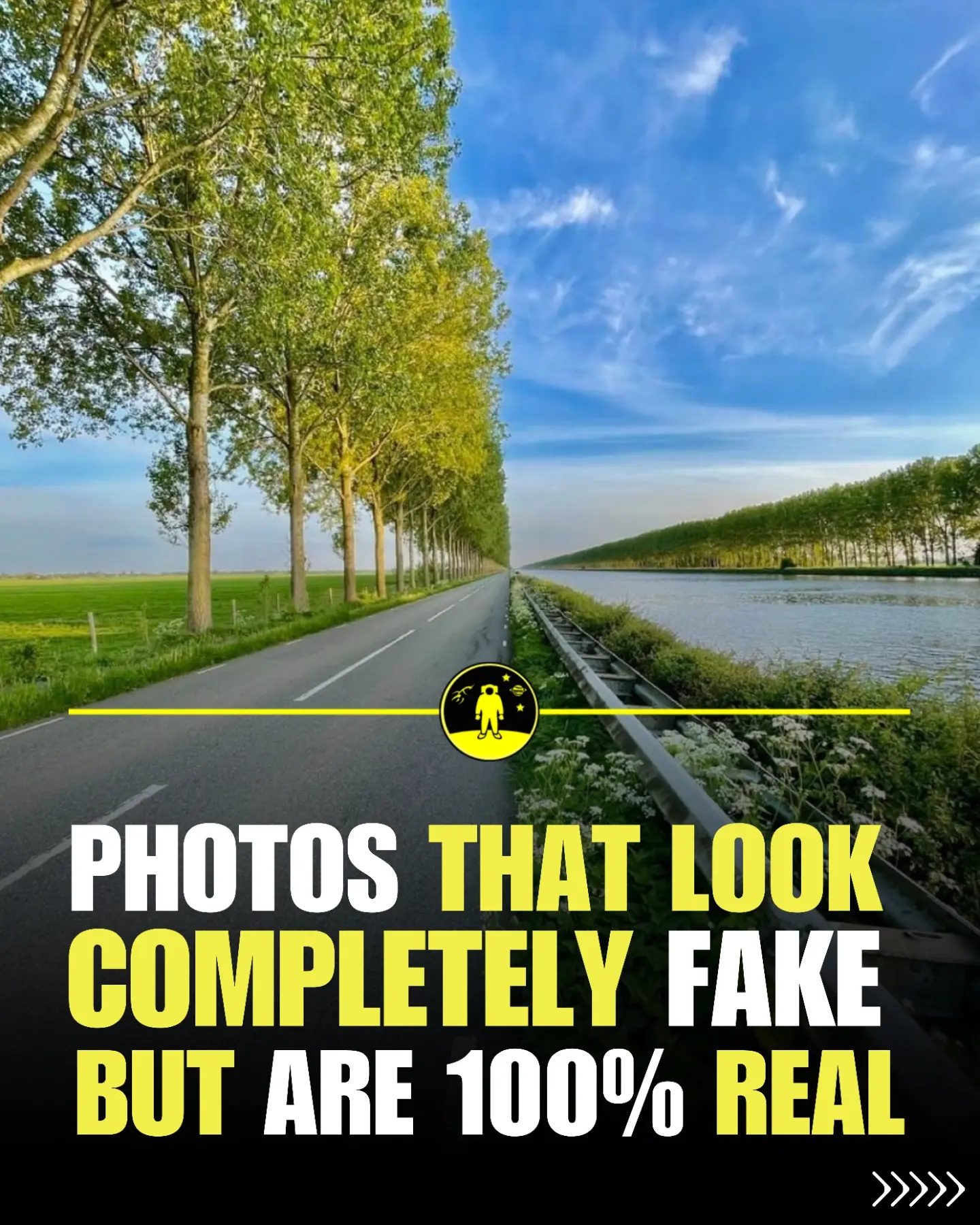 Unbelievable Photos That Seem Too Real to Be True