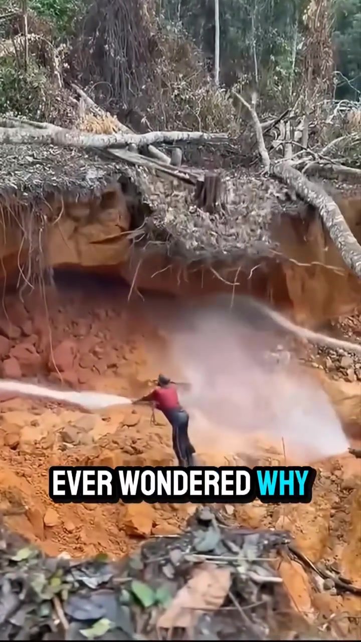 Gold Mining: How Amazon Miners Extract Gold from Soil