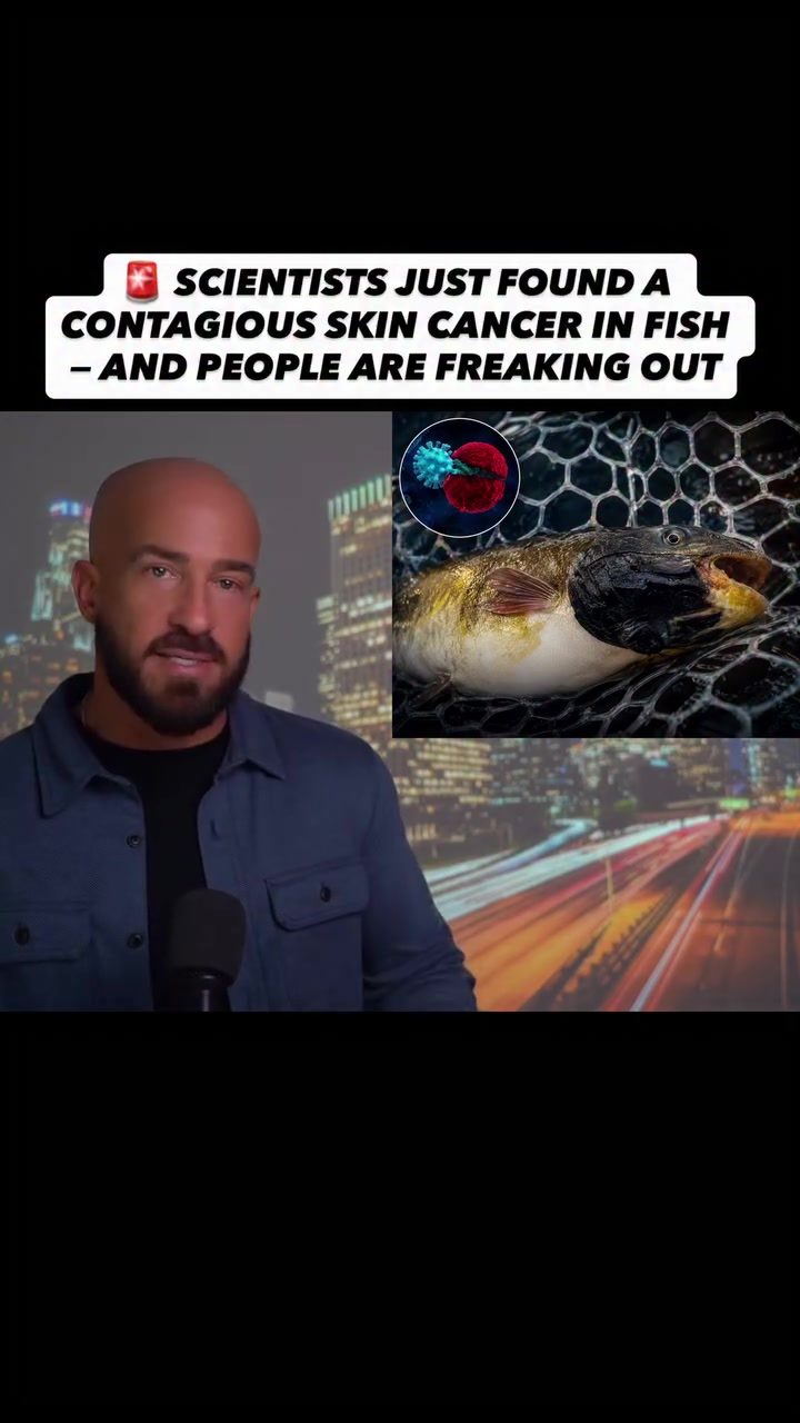 Contagious Cancer in Fish: What You Need to Know