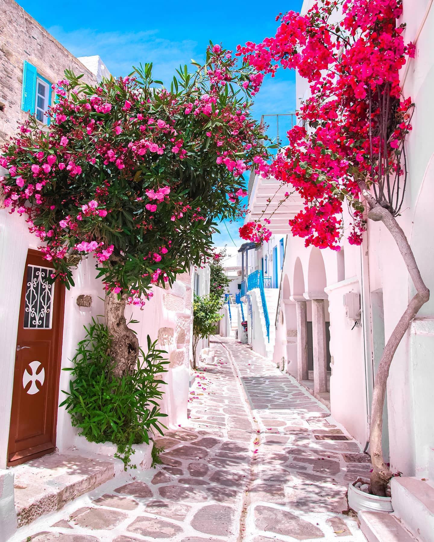 Greek Village Scenery: White Buildings, Cobblestone Streets