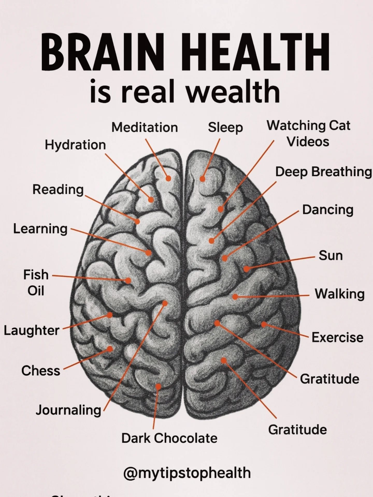 Discover How Brain Health is Your 'Real Wealth