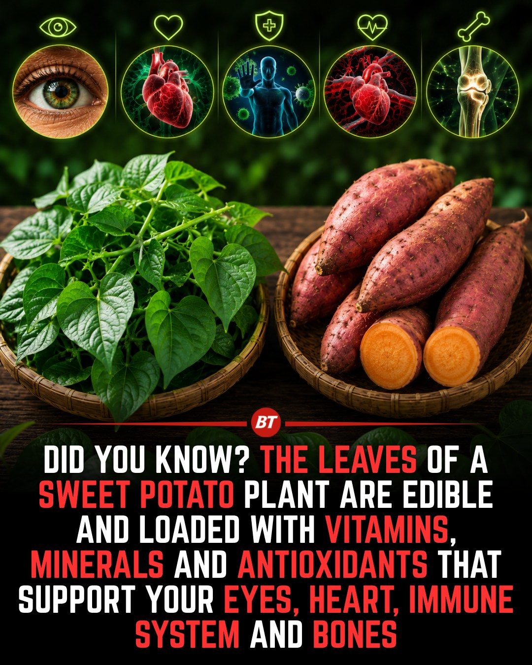 Discover the Health Benefits of Sweet Potato Leaves