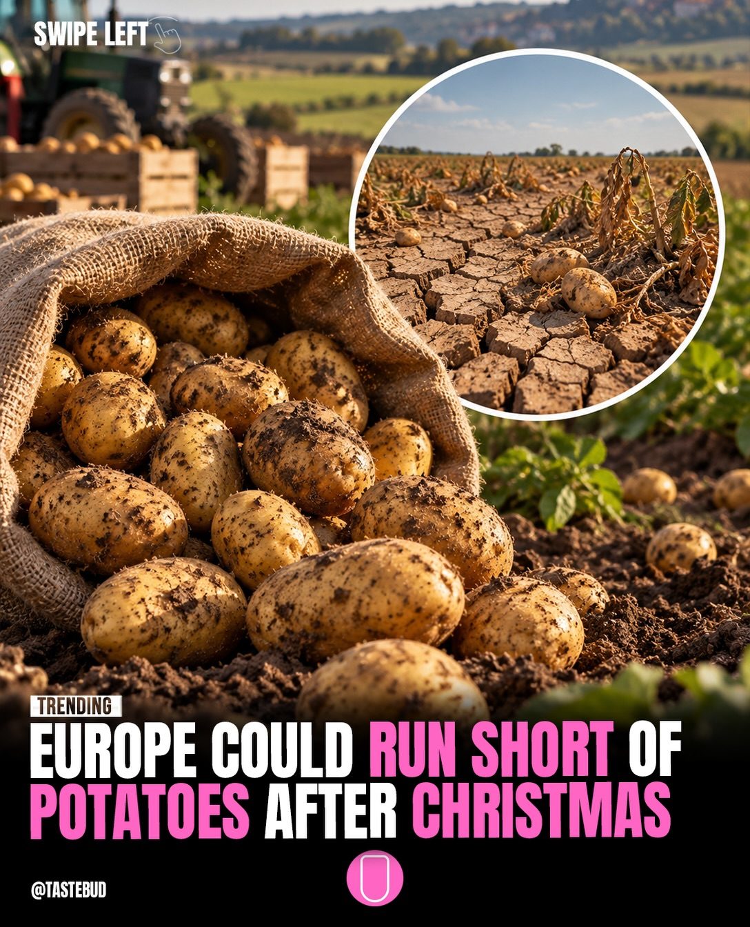 Europe's Potato Shortage: Causes and Easter Impact