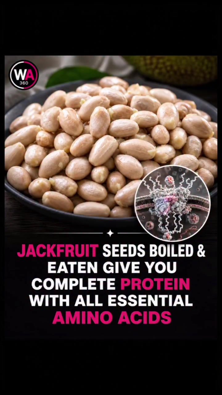Discover the Surprising Health Benefits of Jackfruit Seeds