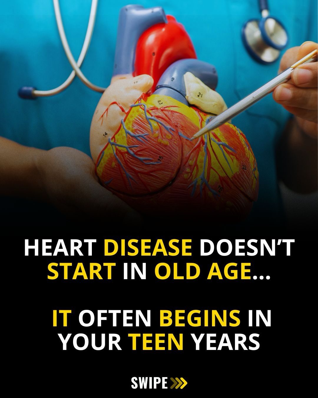 How Early Habits Shape Heart Disease Risk