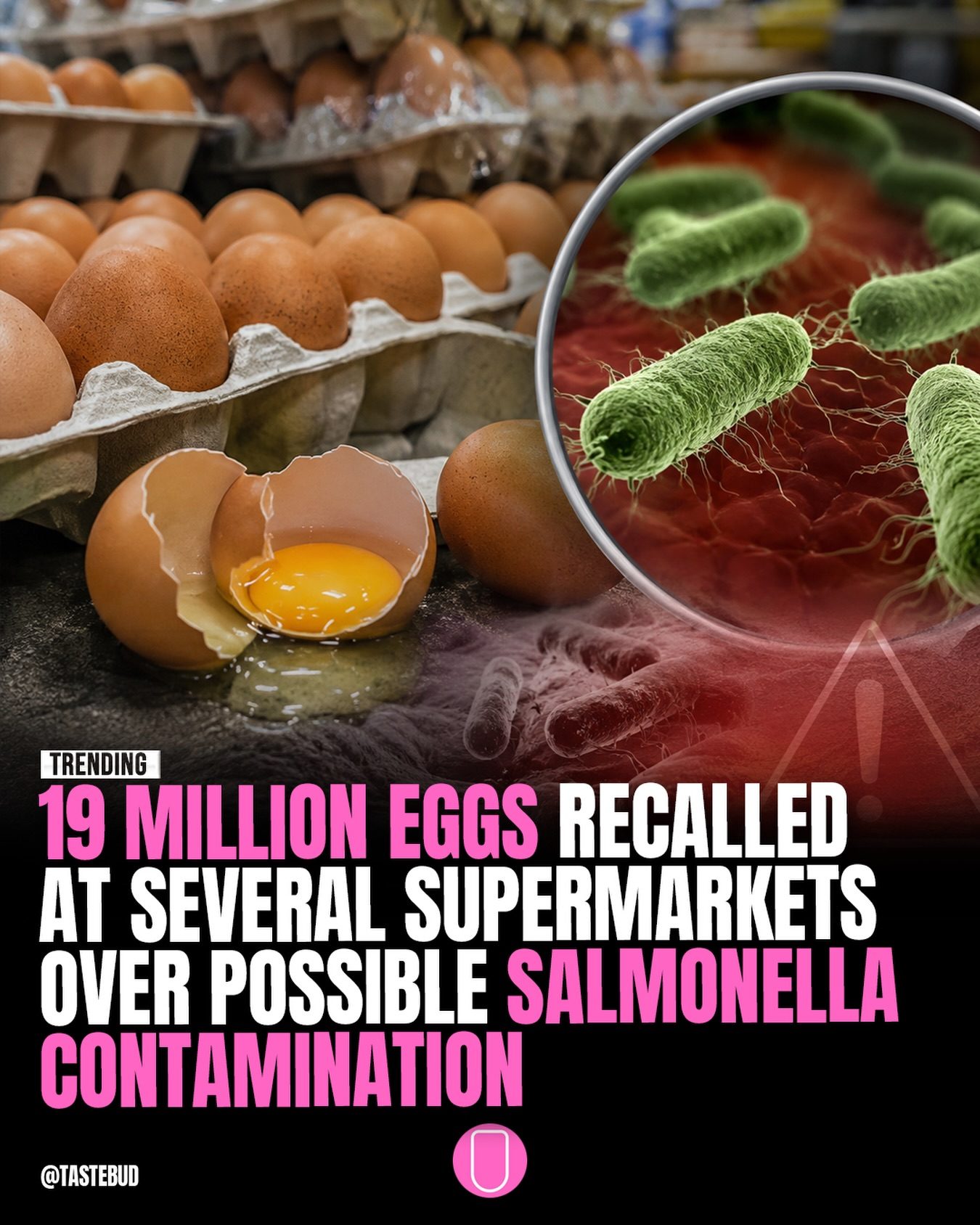 19 Million Eggs Recalled Due to Salmonella Risk
