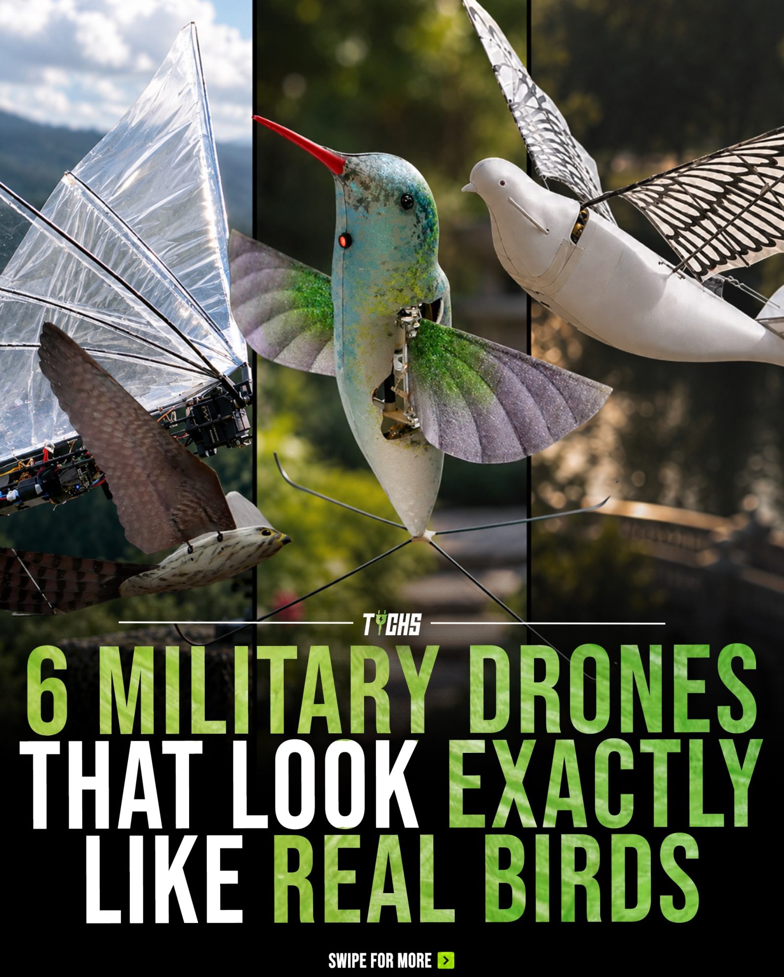 Bird-Inspired Military Drones: Biomimicry in Action