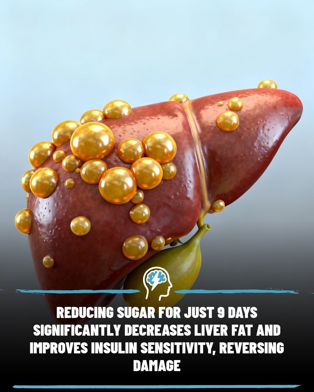 The Impact of 9-Day No-Sugar Diet on Your Liver