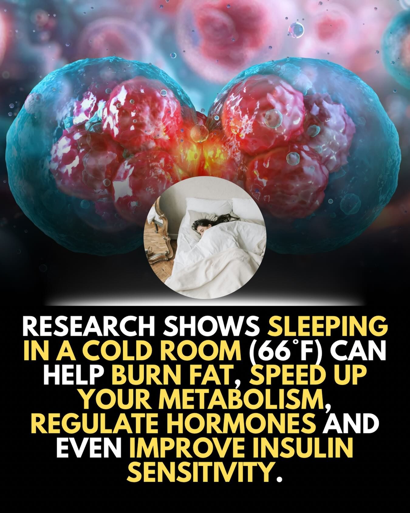 Sleeping in a Cold Room: Boosting Metabolism & Burning Fat