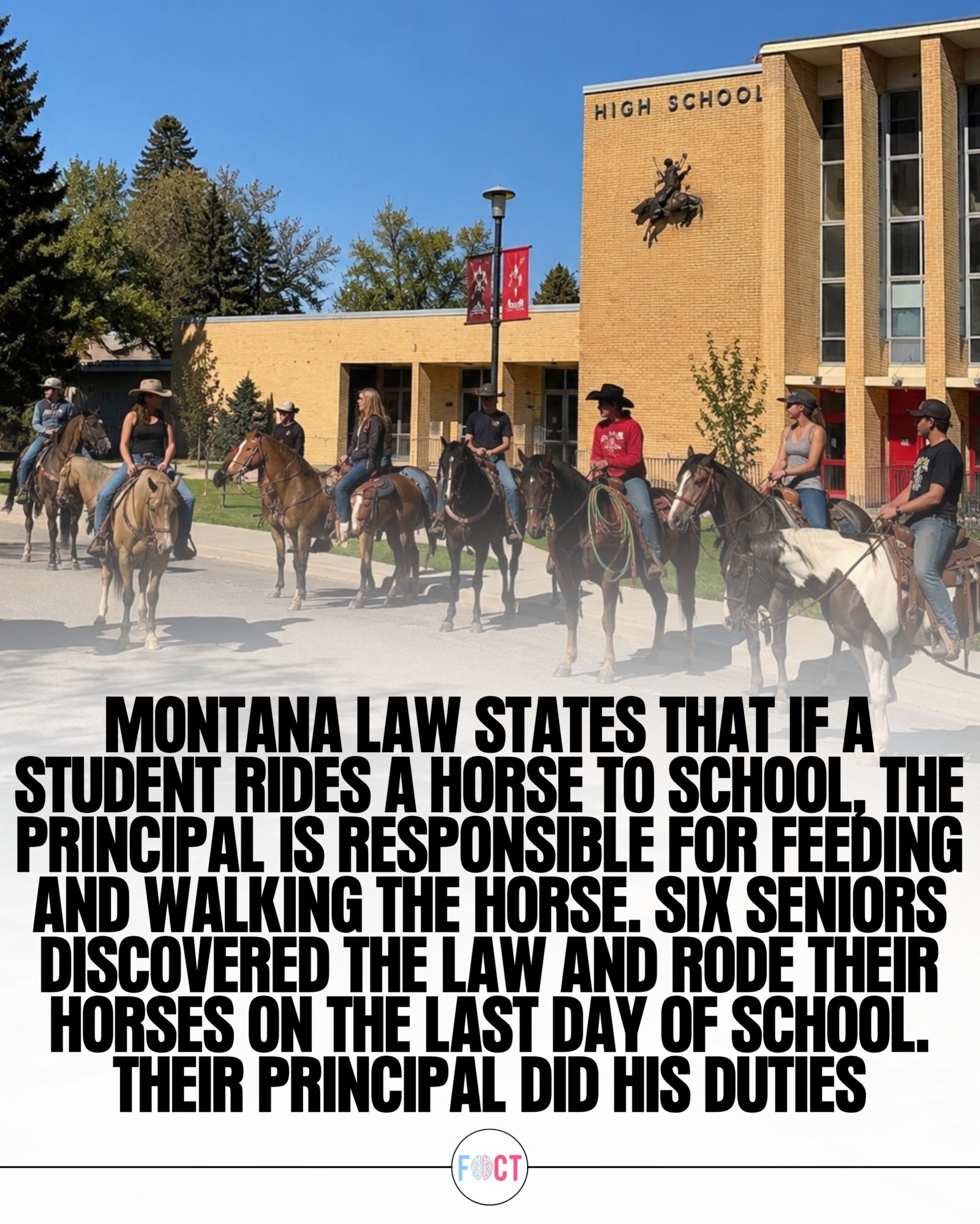 Montana Law: Principals Must Care For Students' Horses At School