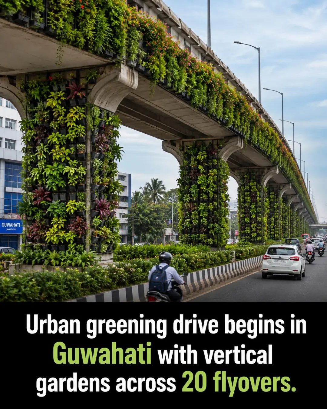 Guwahati’s Vertical Gardens: Greening 20 Flyovers for Urban Improvement
