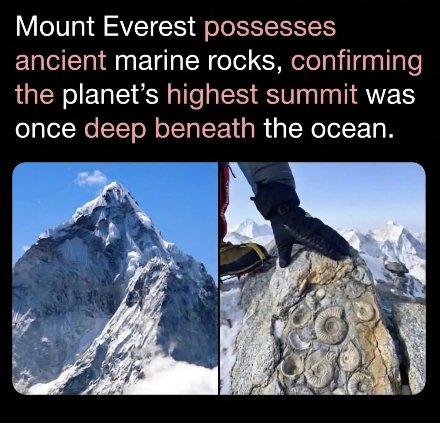 Mount Everest Once Beneath the Sea: Geological Insights