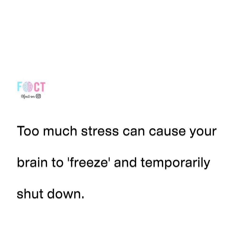 How Stress Can Cause Your Brain to 'Freeze